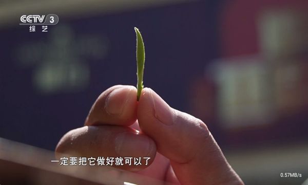 仙女TV免费版下载 v1.3