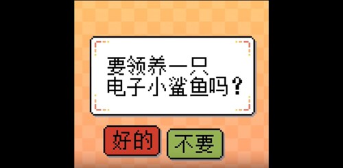 我的小鲨鱼手机版无广告安装包最新免费下载v1.0