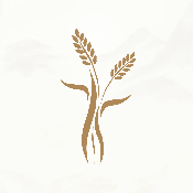 米禾阅读最新安卓免费下载v1.4.7