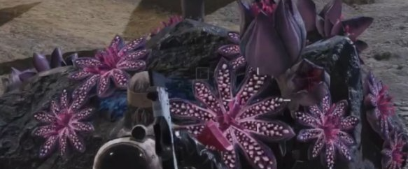 七日世界芽孢争夺怎么玩