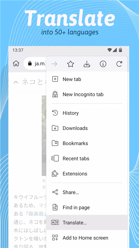 kiwi浏览器安卓免费下载v124.0.6327.4