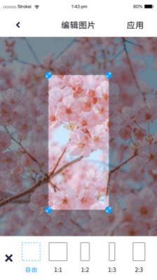 P图照片处理安卓手机最新版下载v1.0.0