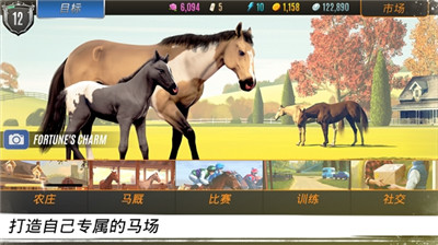 家族传奇马匹养成竞技最新安卓免费下载v1.1