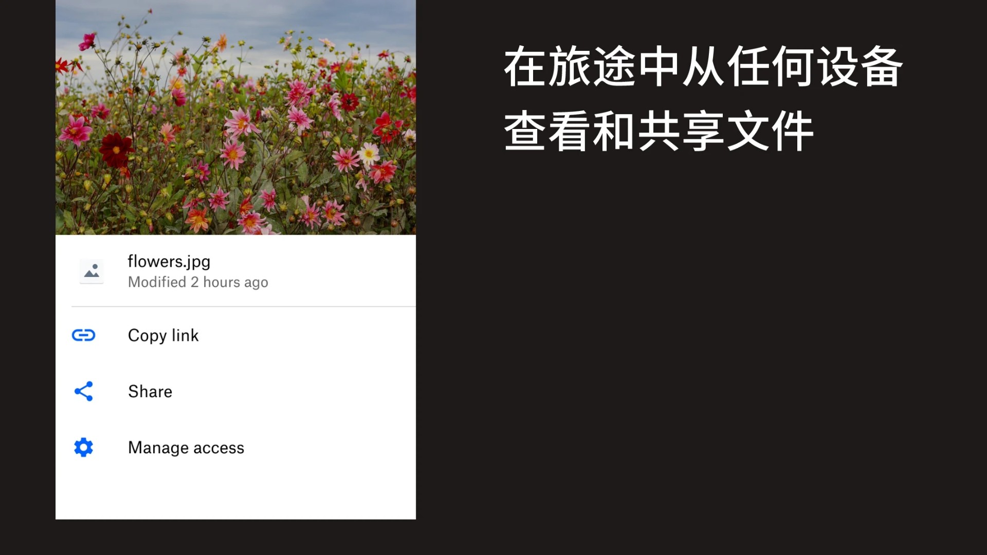 Dropbox中文版手机apk免费下载v384.2.2
