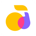 回森安卓免费下载v3.86.0.350636