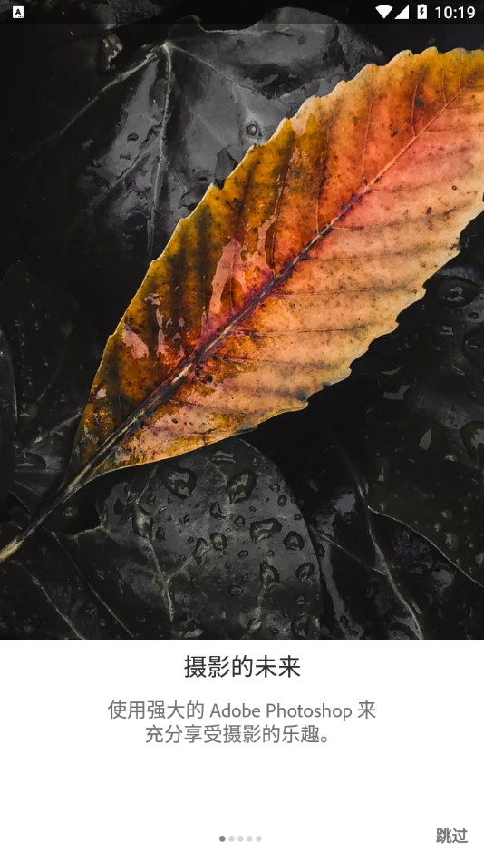 lightroom免费安卓版最新apk下载v9.4.3