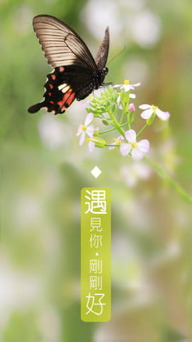 遇见你交友手机最新版下载v1.0.0.012