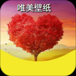 ks壁纸手机最新版下载v1.0.0