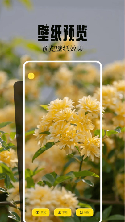 桌面壁纸精灵最新版下载 v1.4