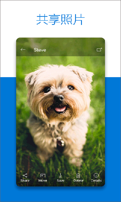 OneDrive最新安卓免费下载v7.14 (Beta 2)