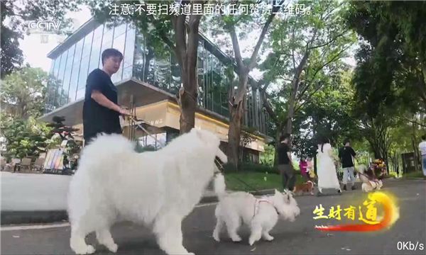 落日TV安装包下载 v5.5.1