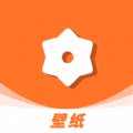 遥望主题壁纸安卓版下载v1.1.0