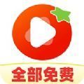 西红柿免费短剧安卓版下载 v1.0.8