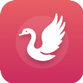白天鹅影视app免费版下载 v1.9.7
