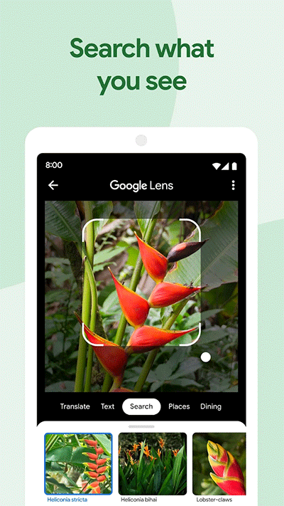 google相册安卓免费下载v7.4.0.687342855