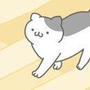 猫真可爱最新版下载猫真可爱最新版下载