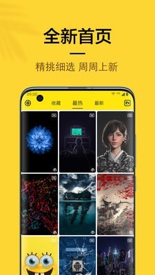 橙子4D动态壁纸最新安卓免费下载v1.0.0973软件