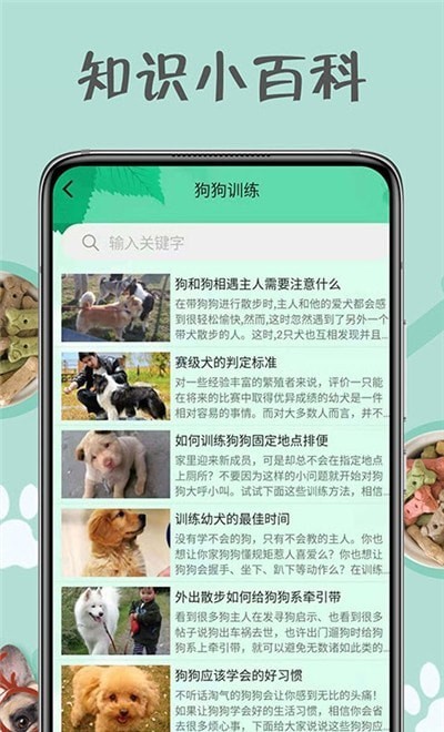 小狗交流器安卓版免费下载v1.0.0973软件