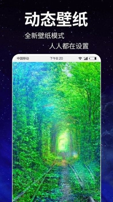 动态壁纸4k免费手机apk最新下载v1.0.1973软件