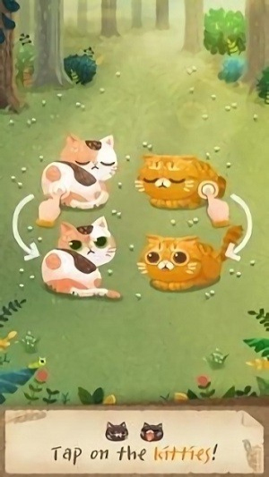 秘密猫森林最新版下载秘密猫森林最新版下载_秘密猫森林安卓版下载