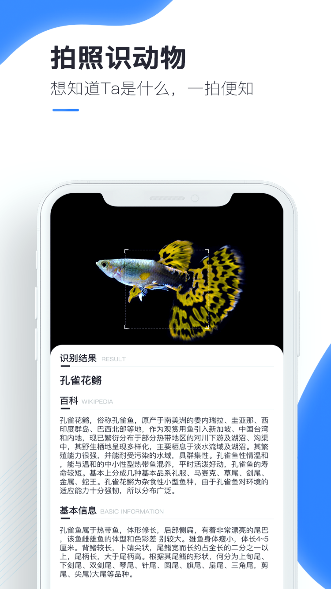 百科扫描王安卓正版下载v1.4.3973软件