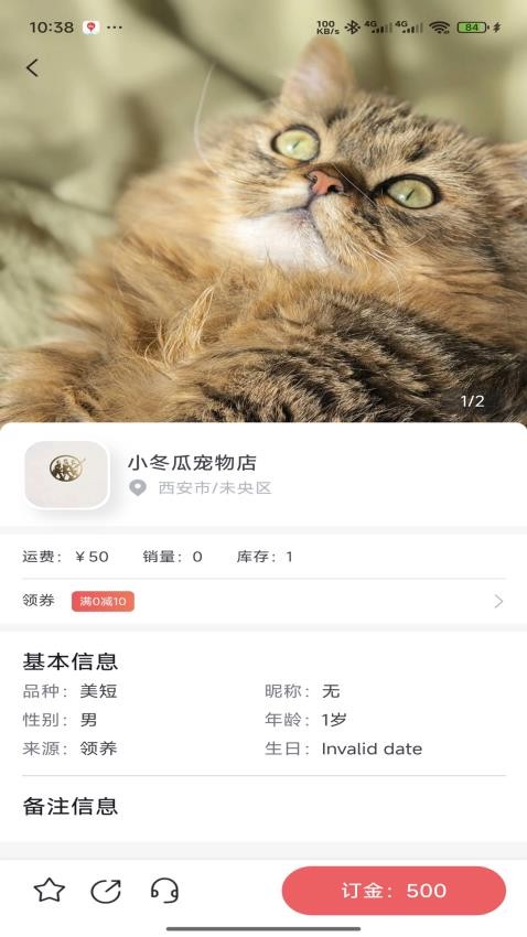 萌宠行星最新版下载