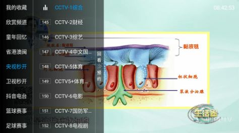 天水麻辣烫TV最新版本更新下载图片2