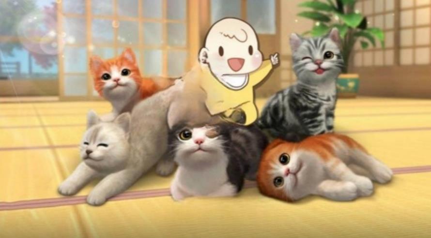 猫咪奇幻世界探险最新版下载 v4.7.25