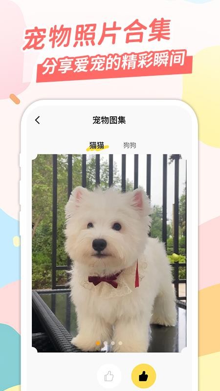 桌面宠安卓版下载
