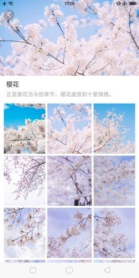 大脚壁纸v1.2.0