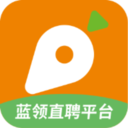 萝卜招聘v5.2.4