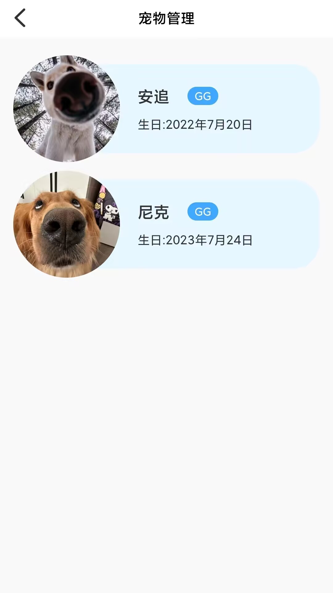 猫狗宠物翻译器 Prov1.0