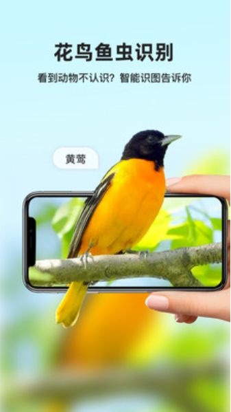 智能识图v1.0.0