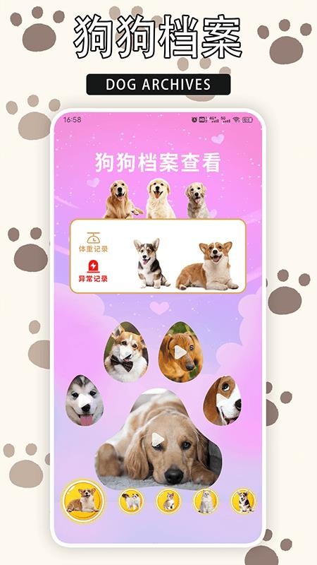 爱游猫v1.7