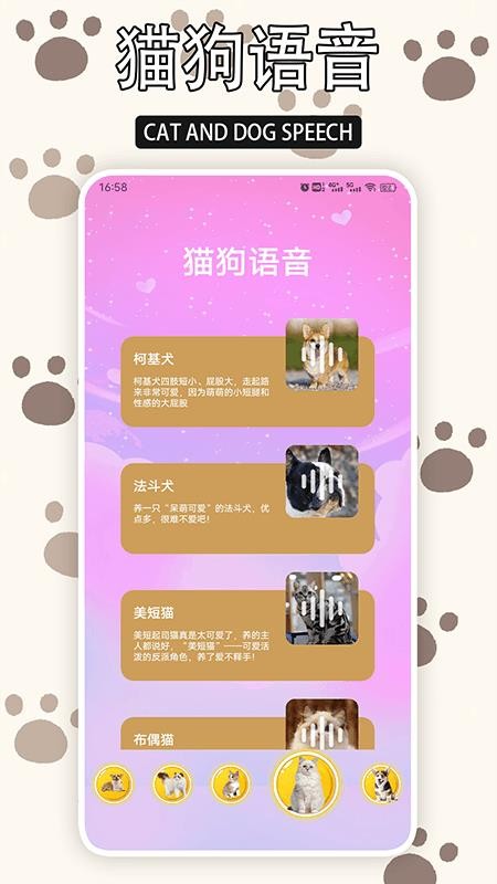 爱游猫v1.7