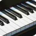 真实钢琴块下载最新版 v1.24