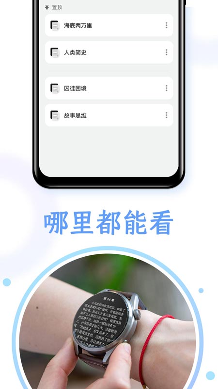 掌旗小说阅读器v1.00