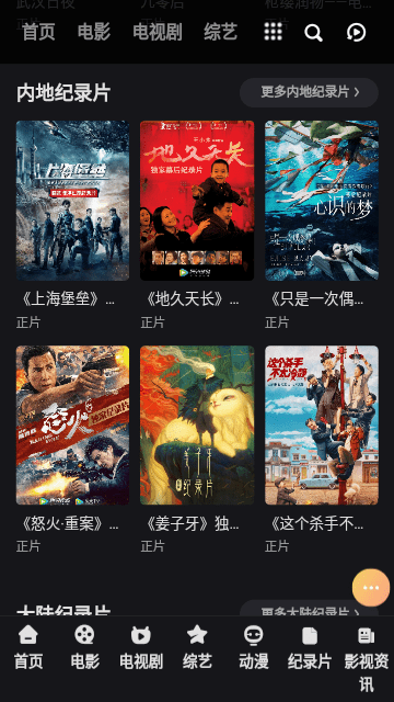 霹雳影视v2.0