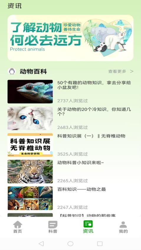 动物世界大全v1.0.1