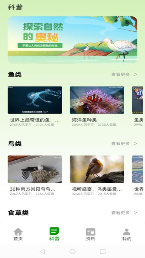 动物世界大全v1.0.1