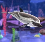 海底生存大逃亡v1.0.5