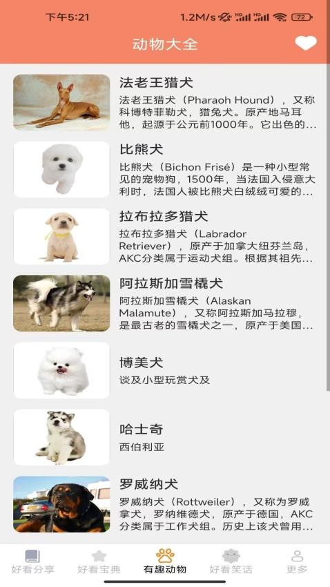 顶好看看v2.7.5.3