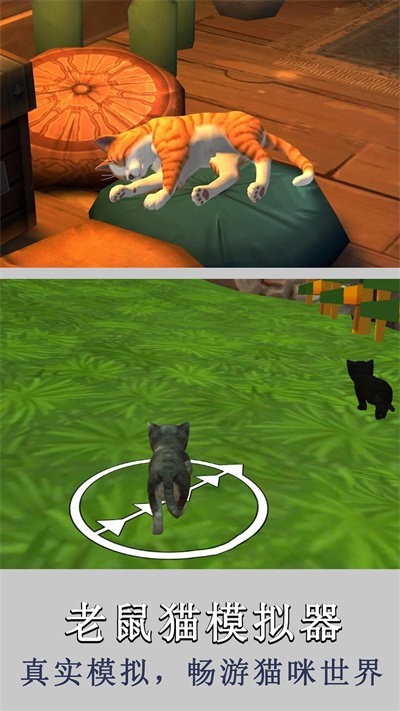 老鼠猫模拟器v1.0