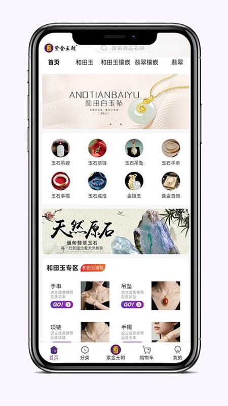 紫金王朝v5.4.0