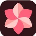 WallSpot手机版下载 v1.6