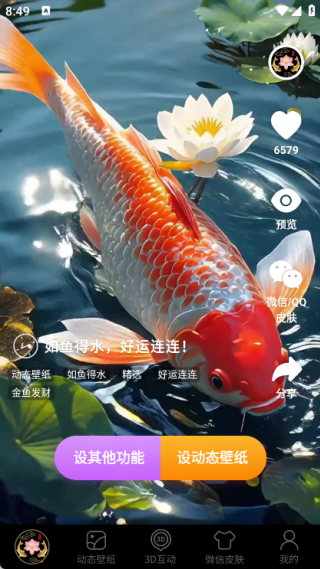 荷花锦鲤壁纸最新版下载 v1.0.13