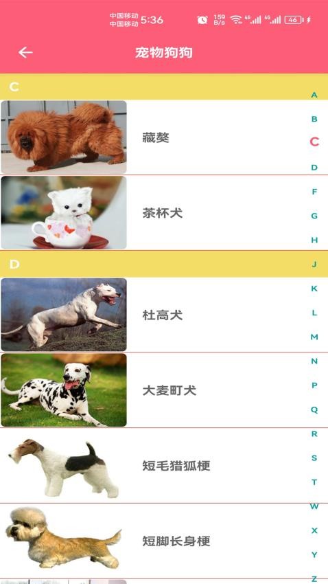宠物宝宝大全v1.009