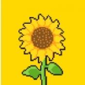 超级莫莫v1.0.6