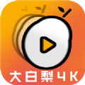 大白梨4k电视1.1手机版下载安装app v1.1