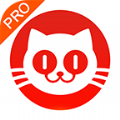 猫眼专业版app下载安装官网版 v7.2.1